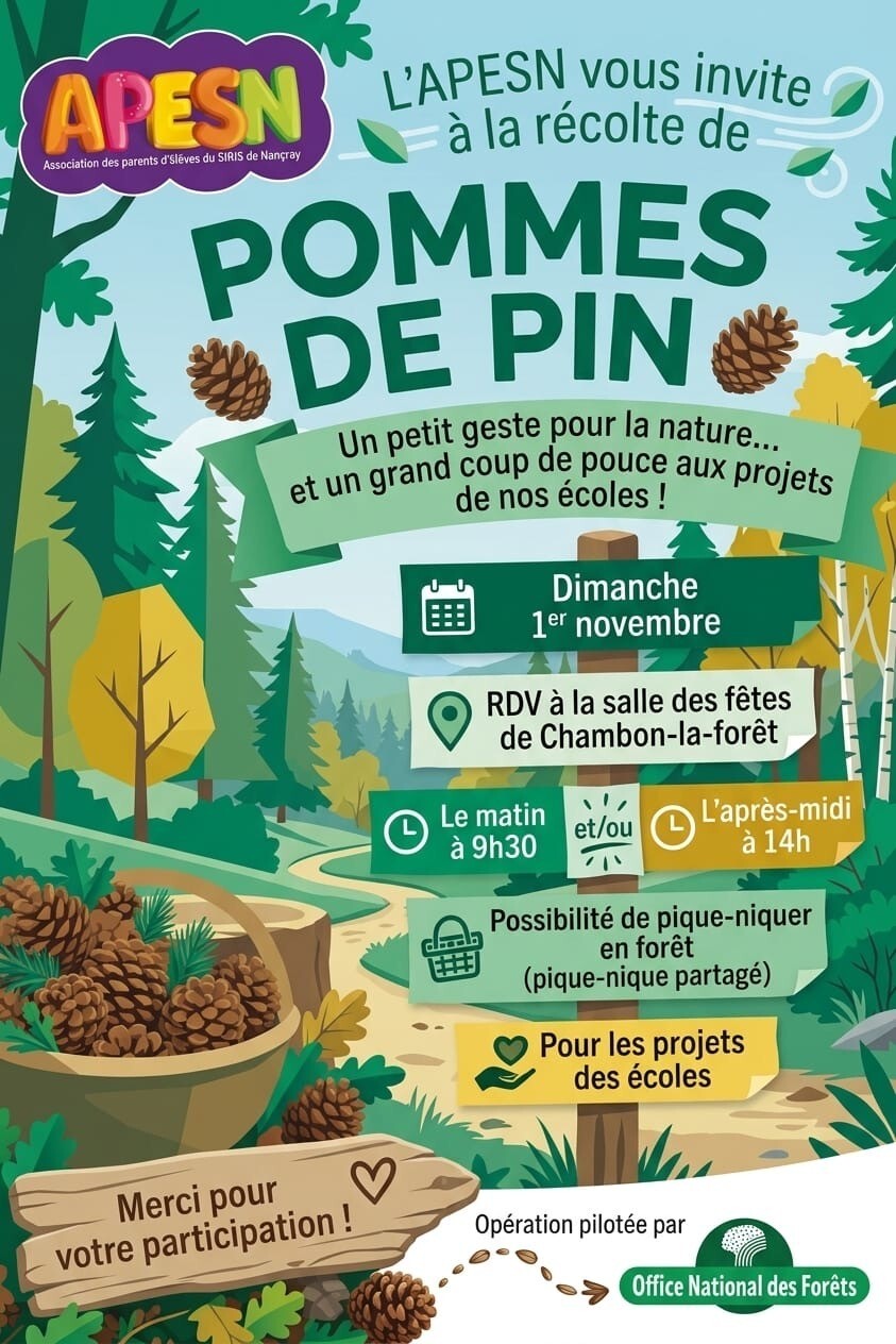 APESN et ONF : récolte de pommes de pin