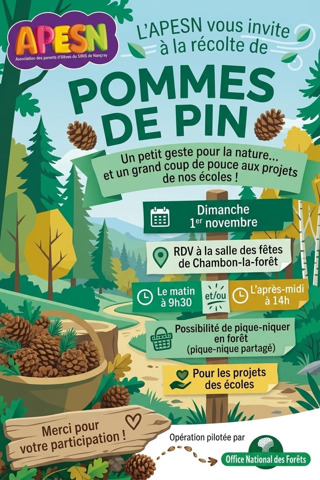APESN et ONF : récolte de pommes de pin