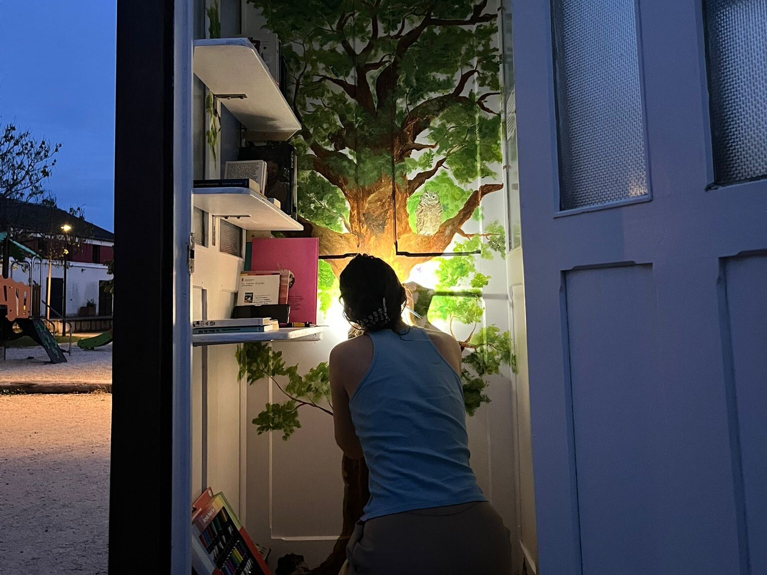 Cabine à livres inaugurée ce 3 mai 2026