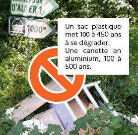 Dépôt sauvage en forêt