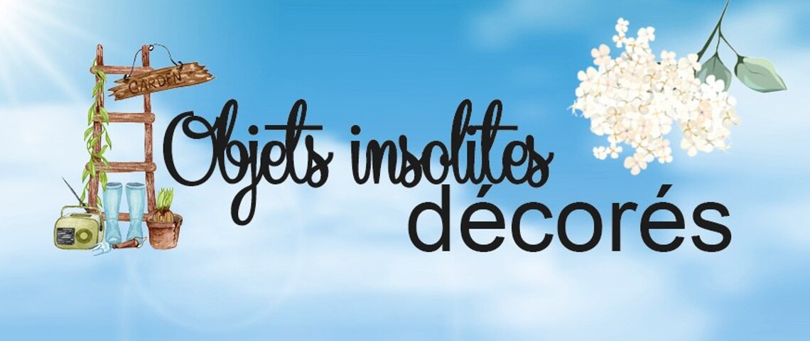 Objets insolites décorés