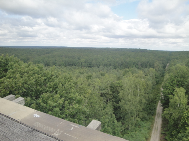 La forêt d'Orléans depuis le Belvédère des Caillettes