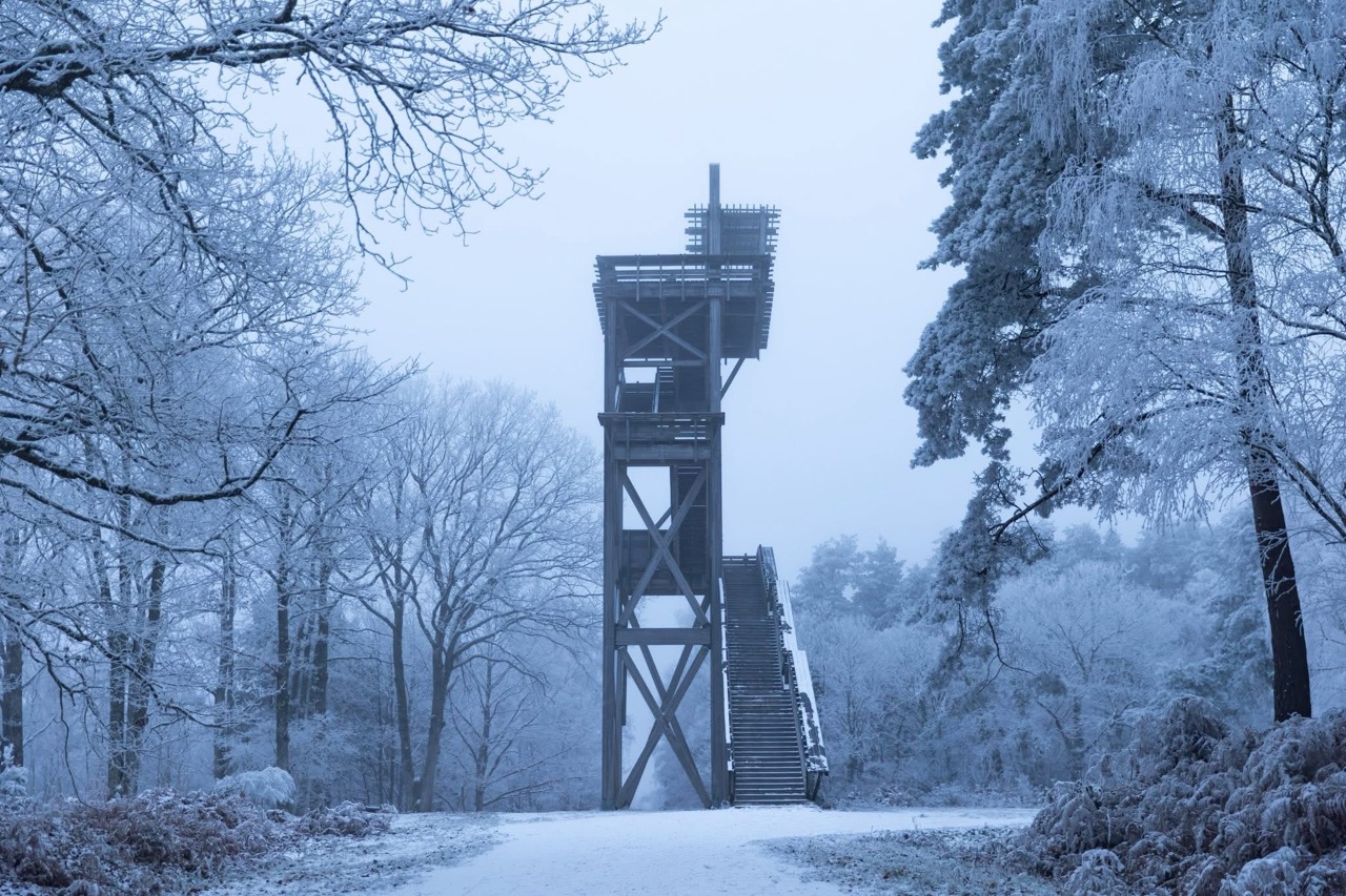 Belvédère des Caillettes sous la neige