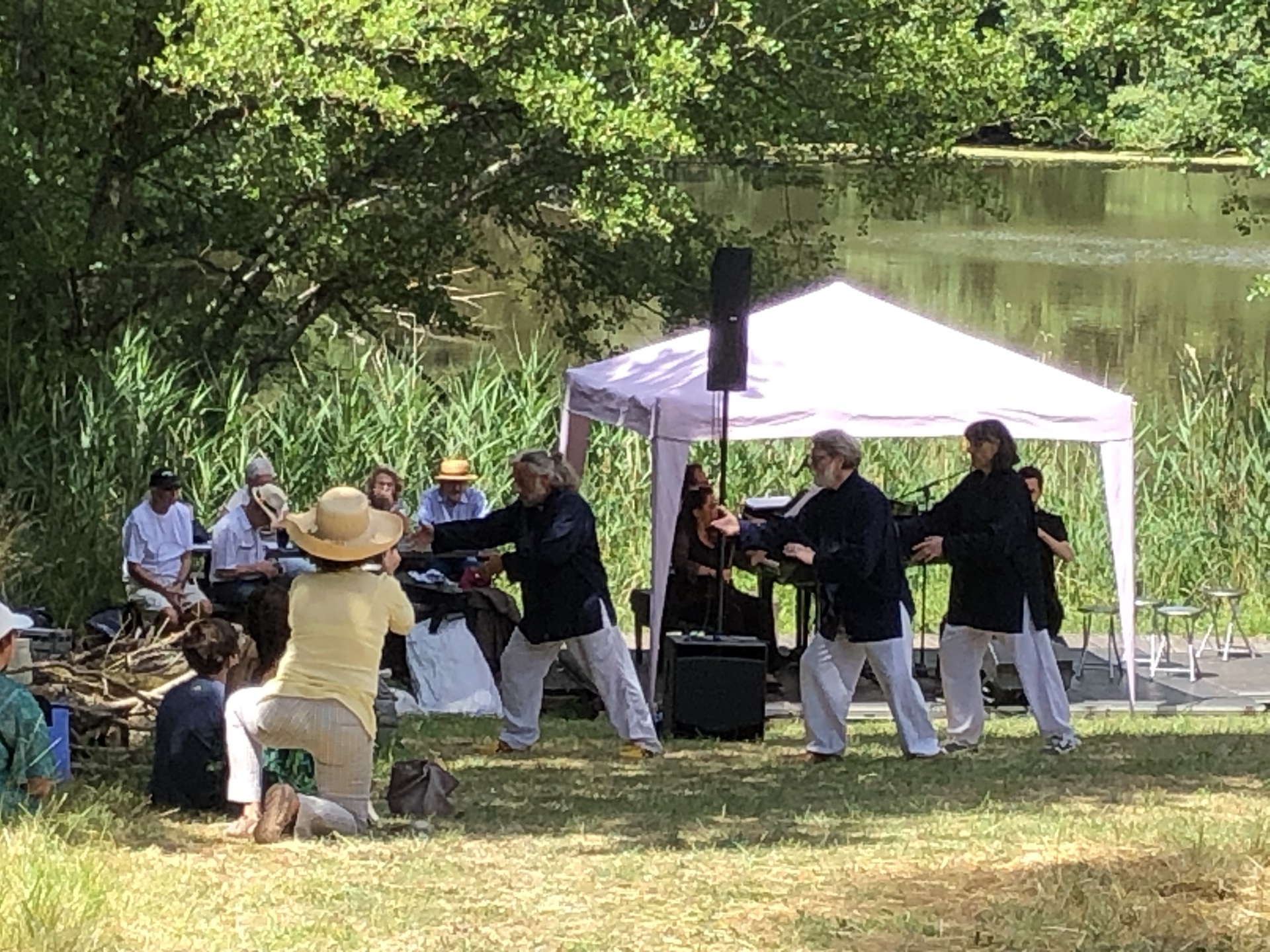 Festival au Cœur de l'Arbre - improvisation section Taï Chi Chuan de JP.Bourgeois (NLR) 