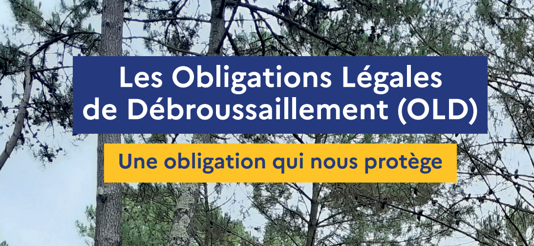 Obligation légale de débroussaillement