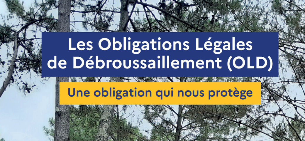 Obligation légale de débroussaillement