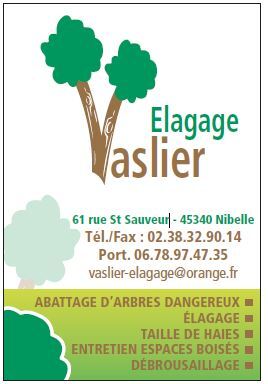 Elagage Vaslier