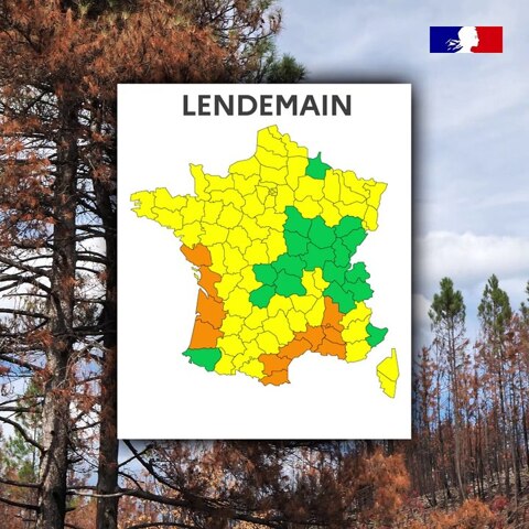 Météo des forêts